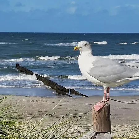 Séjour chez l'habitant 